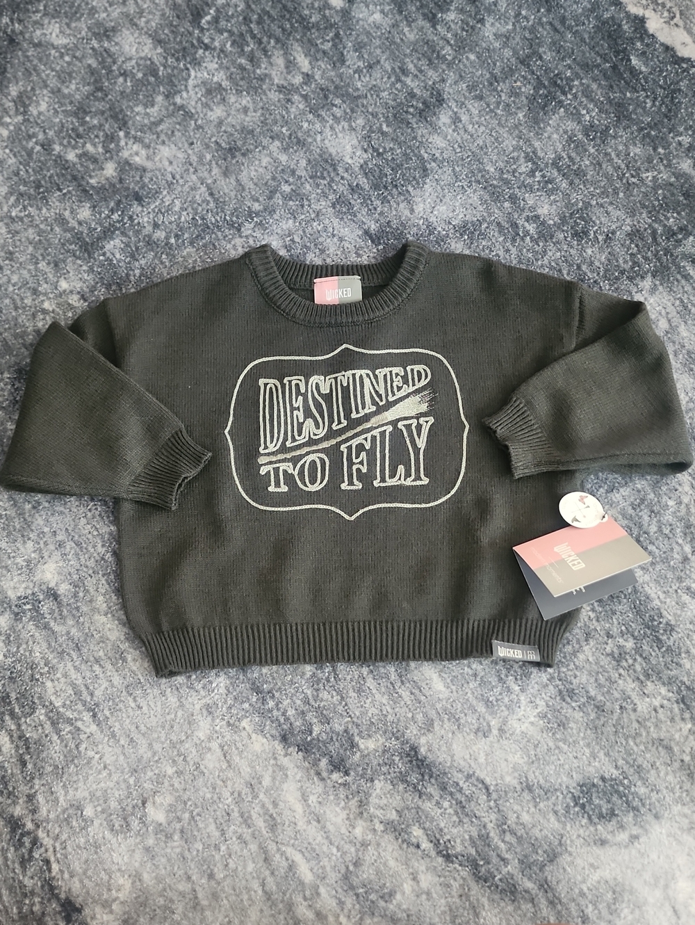 Wicked 'Destined to Fly' Crewneck Sweater Size 2T
